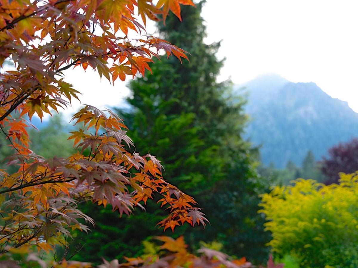 Hubertus Apartments Schliersee Luaran gambar